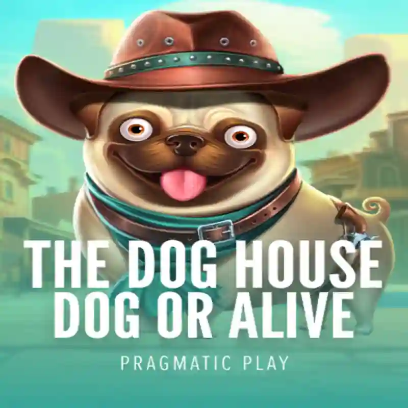 Tragamonedas Dog House Dog & Alive en jamul